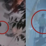 হাজারীবাগে স্কুলছাত্রী বিন্তি হ’ত্যা, মিলল যে চাঞ্চল্যকর তথ্য